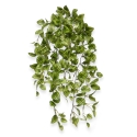 Peperomia Pianta artificiale ricadente variegata 50 cm