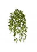 Peperomia Pianta artificiale ricadente variegata 50 cm