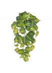Philodendron Scandens Brasil pianta artificiale ricadente 50cm
