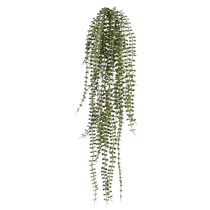 Ciondolo Dischidia grigio/verde 70 cm