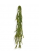 Asparago artificiale Foxtail trailingplant 60 cm verde