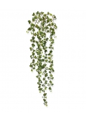 Peperomia Prostrata artificiale da appendere 80 cm
