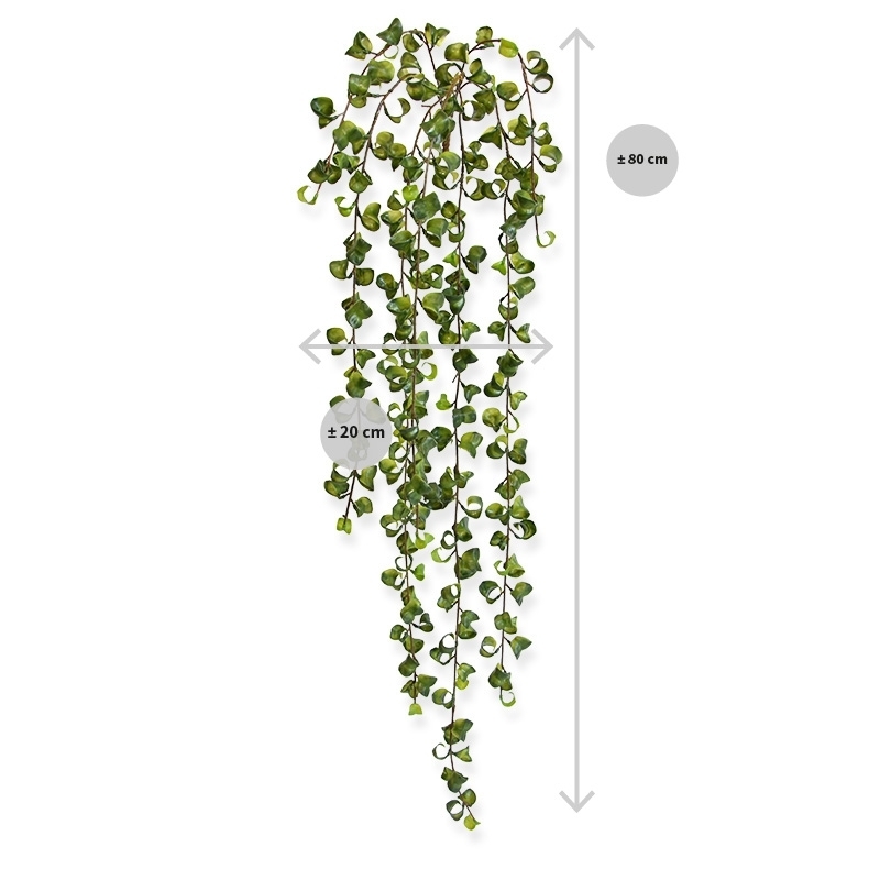 Peperomia Prostrata artificiale da appendere 80 cm
