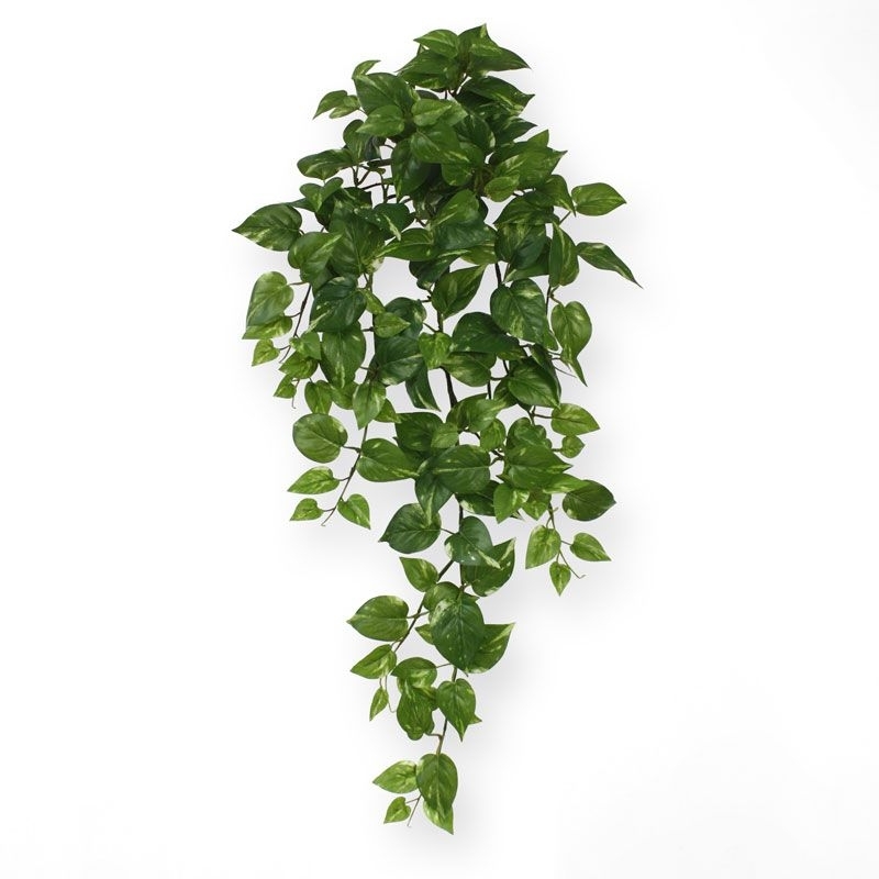 Scindapsus pianta artificiale ricadente 75 cm - verde