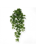 Scindapsus pianta artificiale ricadente 75 cm - verde