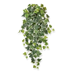 Pianta traente di edera artificiale 75 cm variegata