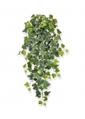 Pianta traente di edera artificiale 75 cm variegata