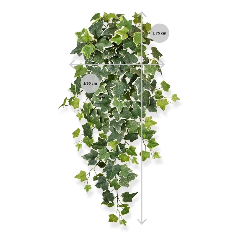 Pianta traente di edera artificiale 75 cm variegata
