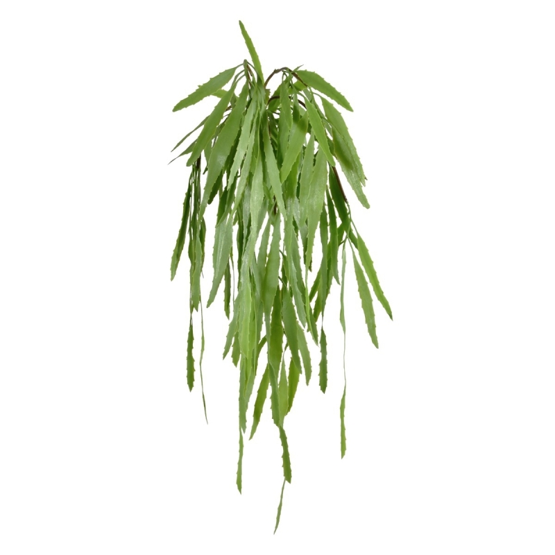 Appendino Eucalipto 60cm verde