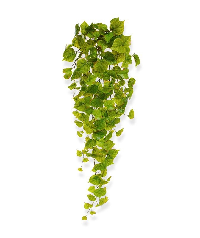 Populus artificiale ricadente 80 cm