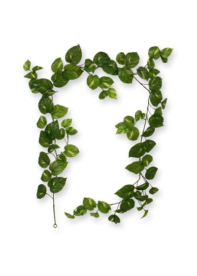 Ghirlanda artificiale di Scindapsus RT 180 cm