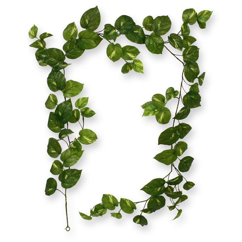 Ghirlanda artificiale di Scindapsus RT 180 cm