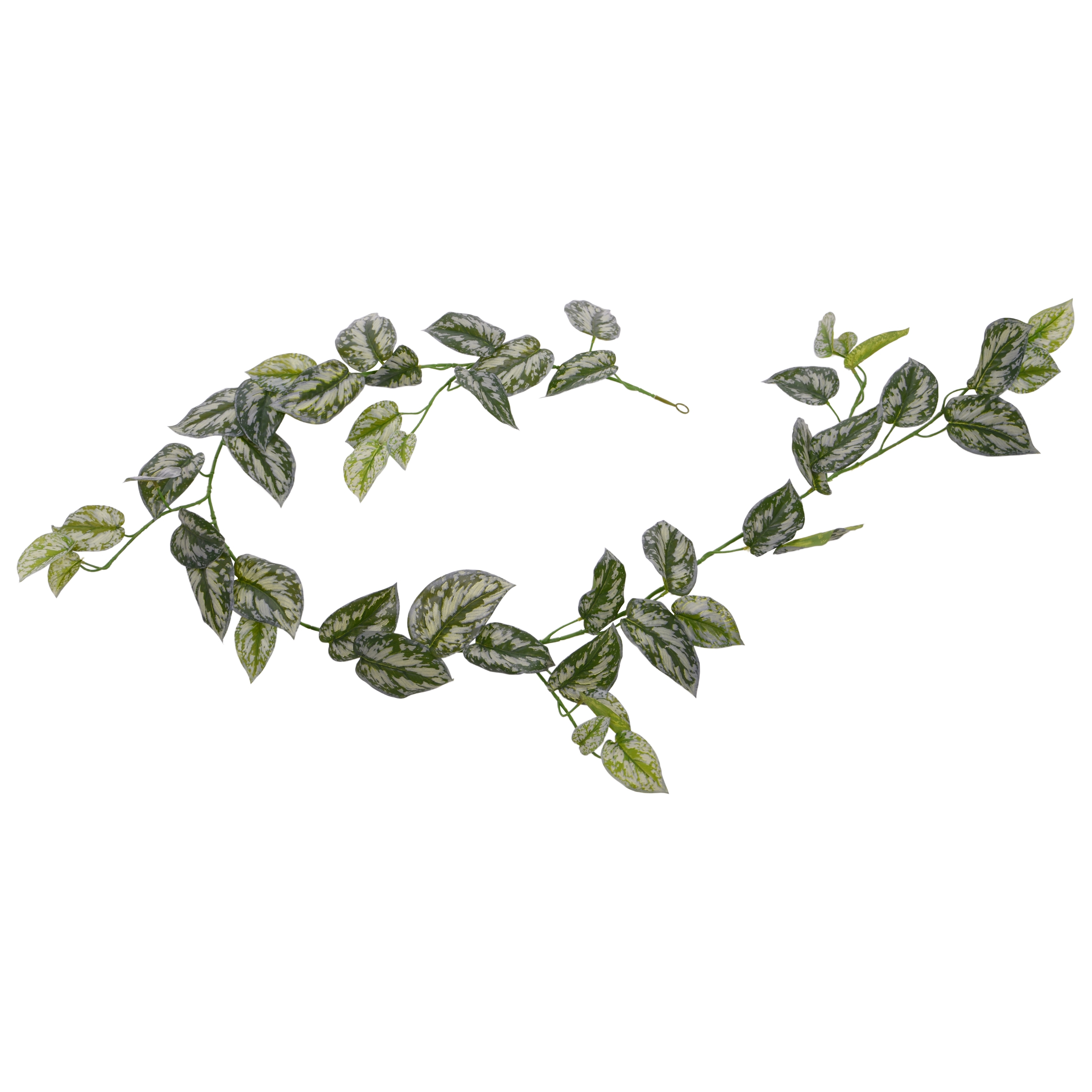 Scindapsus Pictus Deluxe ghirlanda artificiale 180cm