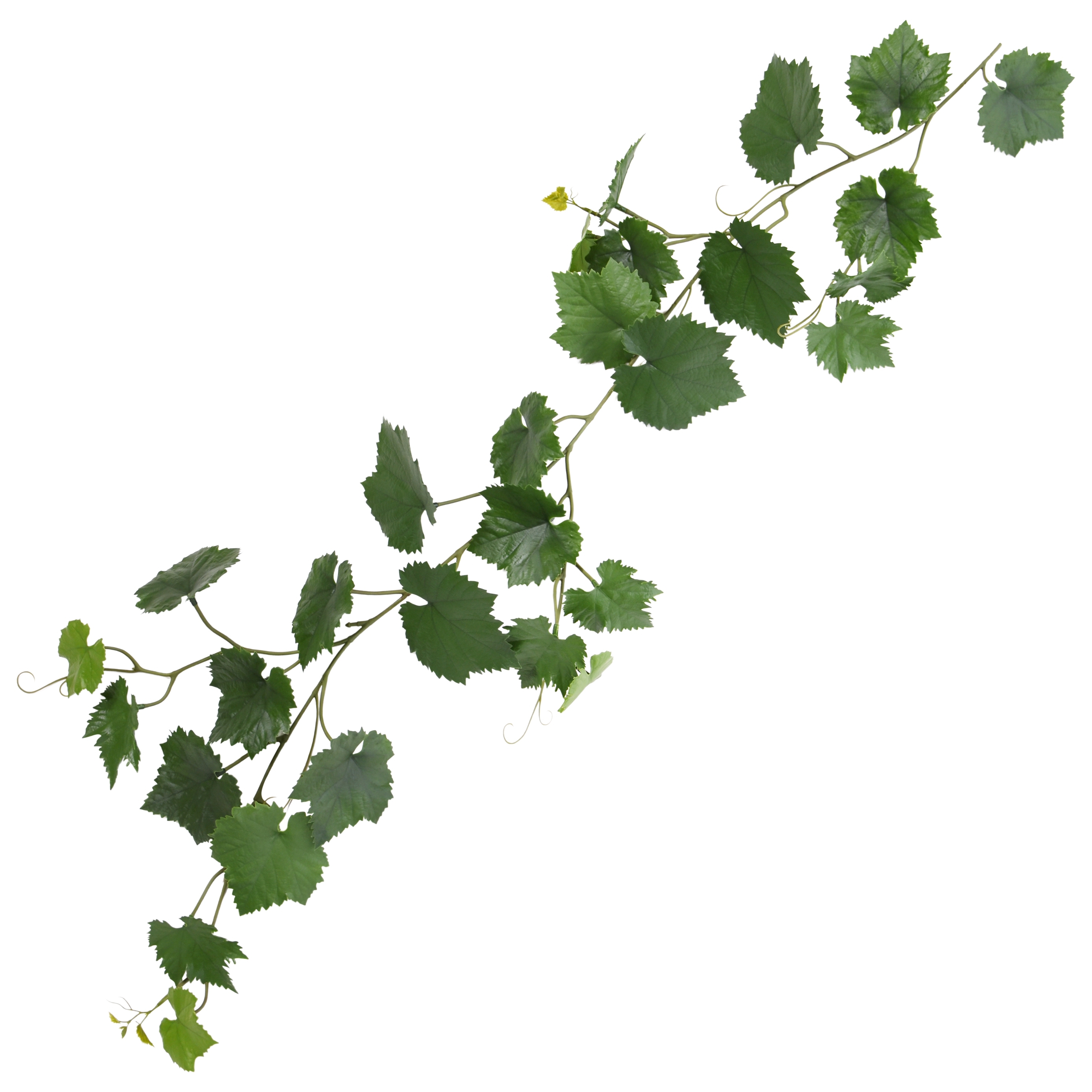 Ghirlanda d'uva artificiale 110 cm verde UV