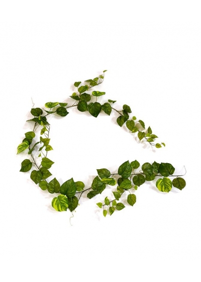 Ghirlanda artificiale di Pothos 180 cm varigata