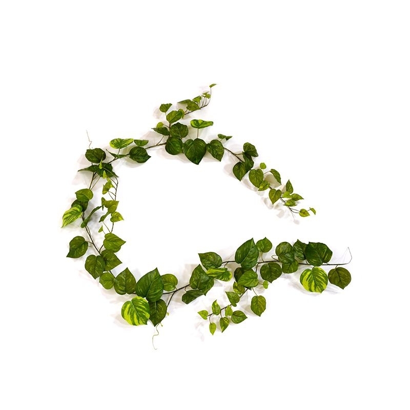 Ghirlanda artificiale di Pothos 180 cm varigata
