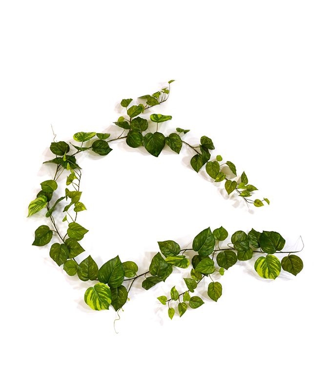 Ghirlanda artificiale di Pothos 180 cm varigata