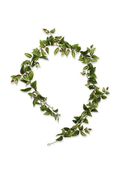 Ghirlanda di Tradescantia 180 cm variegata