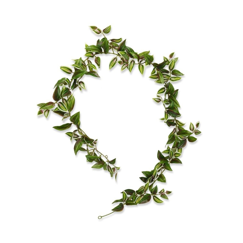 Ghirlanda di Tradescantia 180 cm variegata