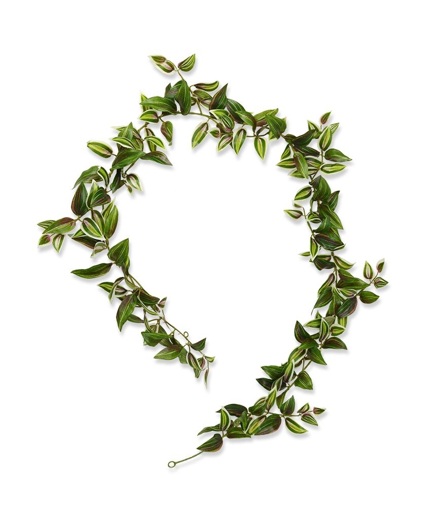 Ghirlanda di Tradescantia 180 cm variegata