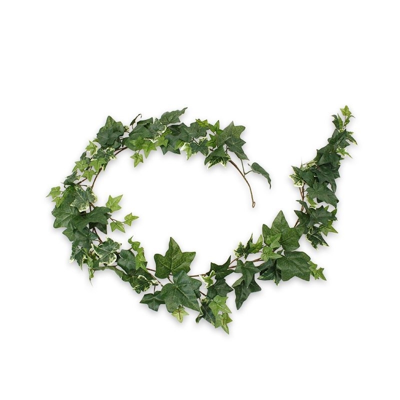 Ghirlanda di edera artificiale verde-variegata 180 cm