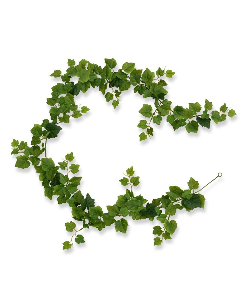 Ghirlanda di foglie d'uva 180 cm verde