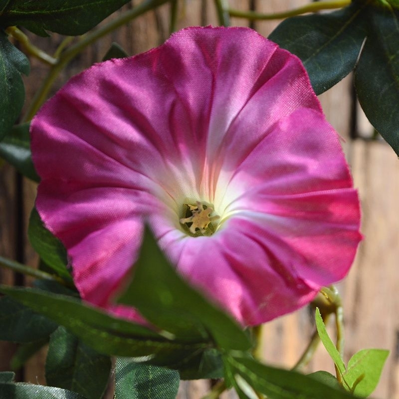 Ghirlanda di petunia artificiale pendente 180cm - cerise