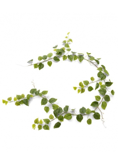 Ghirlanda artificiale di filodendro 180 cm verde