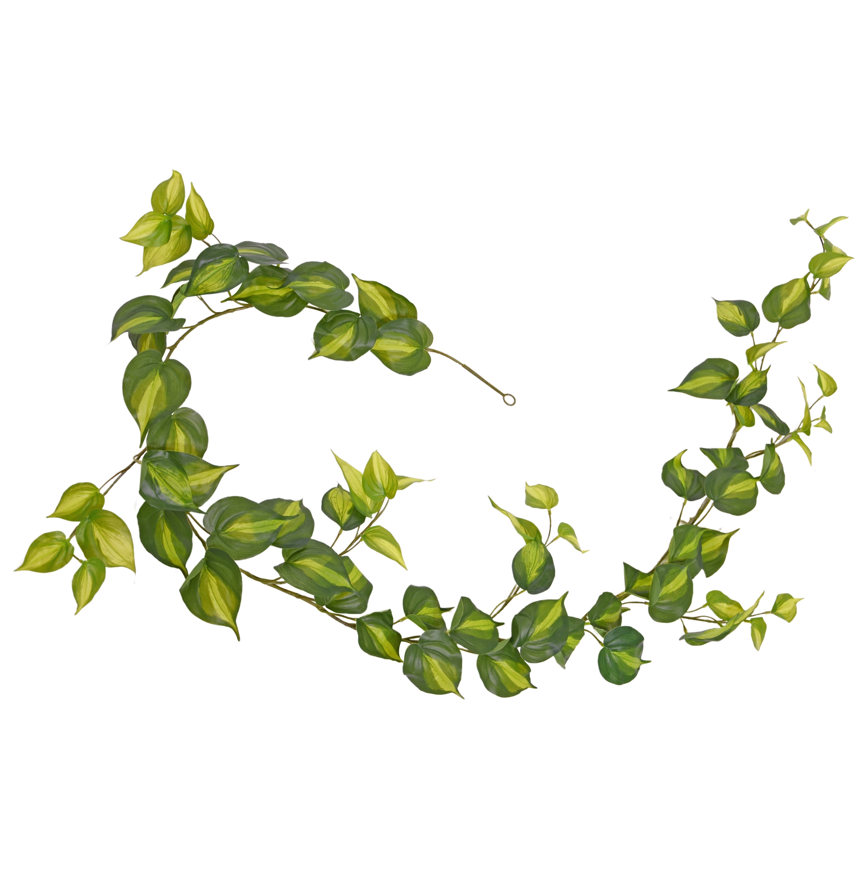 Filodendro Scandens Brasil ghirlanda artificiale 180cm