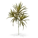 Ramo artificiale Draceana 80 cm - variegato