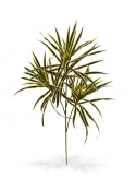 Ramo artificiale Draceana 80 cm - variegato