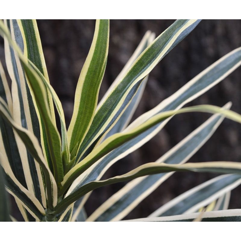 Ramo artificiale Draceana 80 cm - variegato