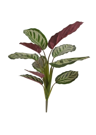 Calathea rossa Roseopicta cespuglio pianta artificiale 45cm