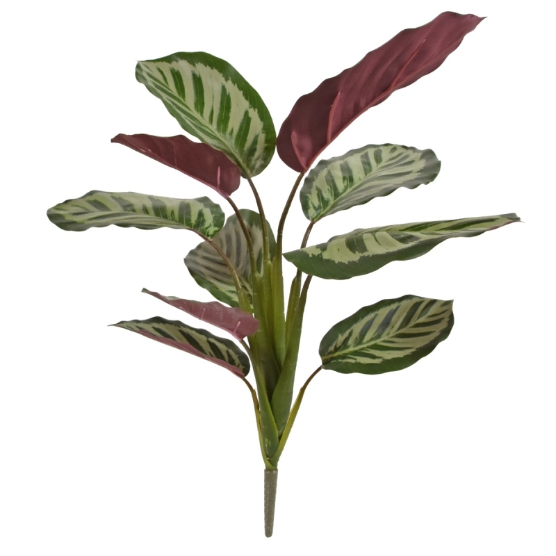 Calathea rossa Roseopicta cespuglio pianta artificiale 45cm