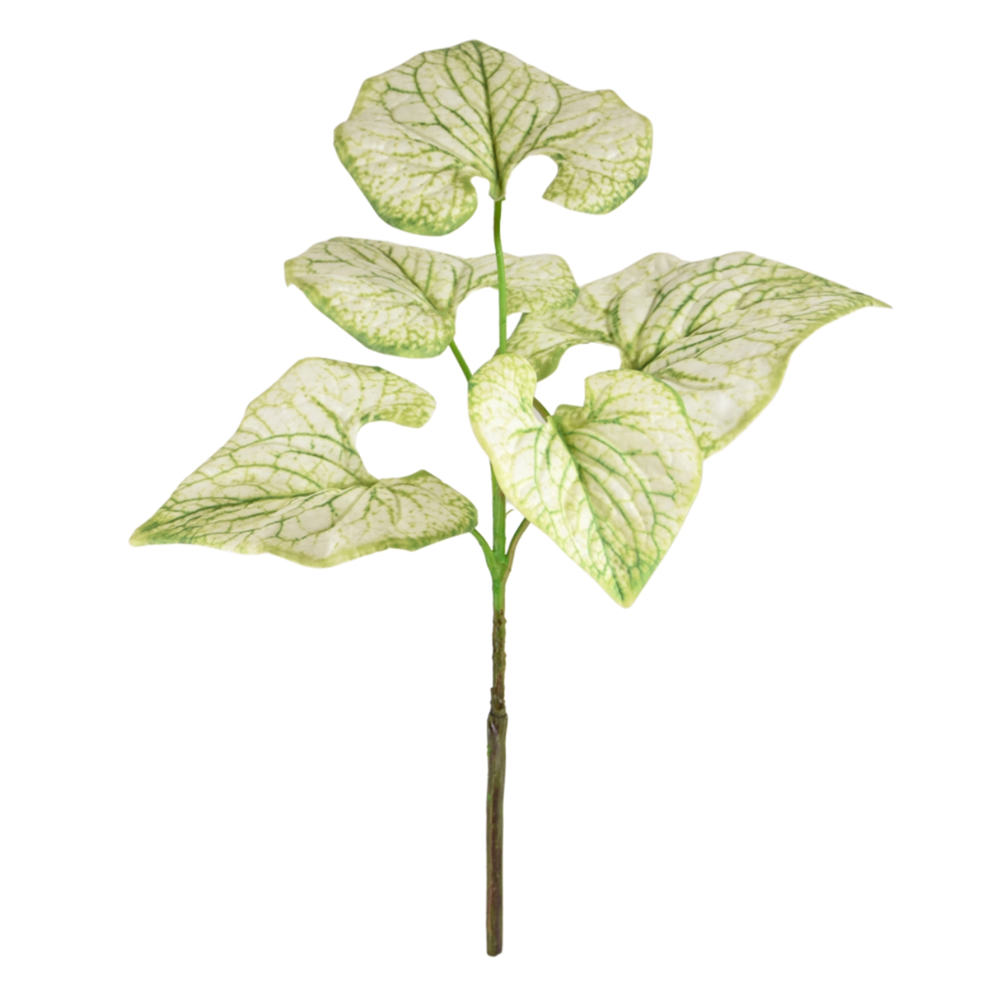 Ramo di Brunnera 35 cm creme-groen