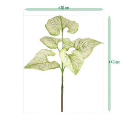 Ramo di Brunnera 35 cm creme-groen