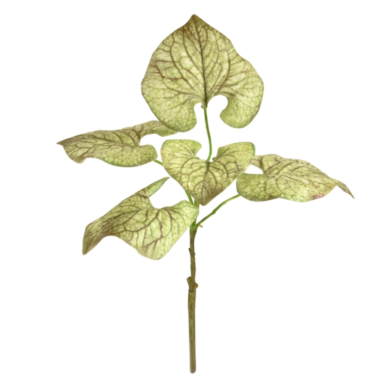 Ramo di Brunnera 35 cm verde-marrone