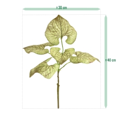 Ramo di Brunnera 35 cm verde-marrone
