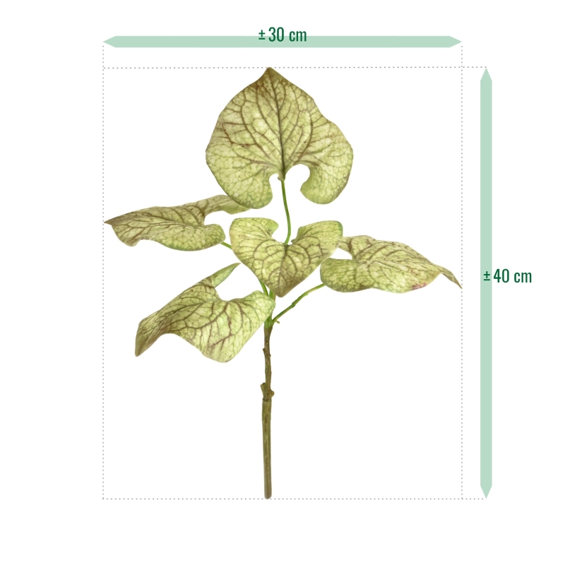 Ramo di Brunnera 35 cm verde-marrone