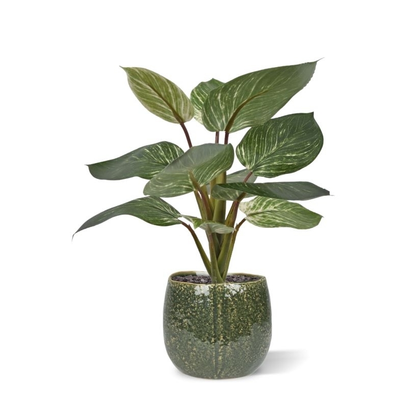 Filodendro Birkin pianta artificiale 30 cm in vaso