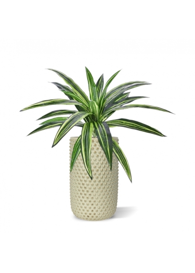 Pianta artificiale di Draceana Massangeana 40 cm verde in vaso