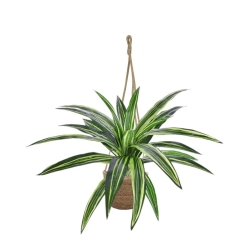 Pianta artificiale di Draceana Massangeana 40 cm verde in vaso