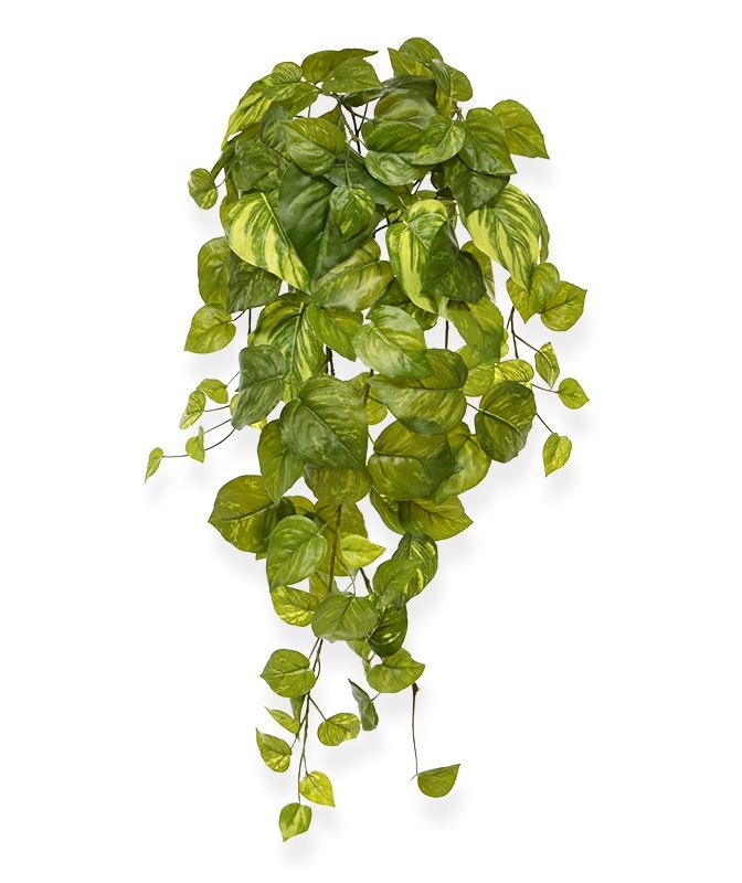 Pothos artificiale sospeso 55 cm var. in vaso