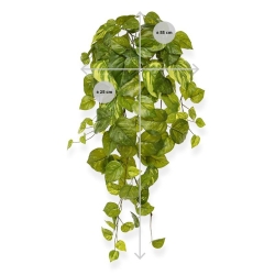 Pothos artificiale sospeso 55 cm var. in vaso