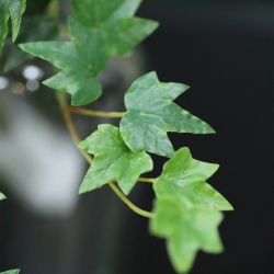 Pianta artificiale sospesa Hedera Mini 145cm verde
