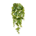 Pothos artificiale da appendere 60 cm