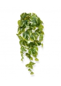 Pothos artificiale da appendere 60 cm