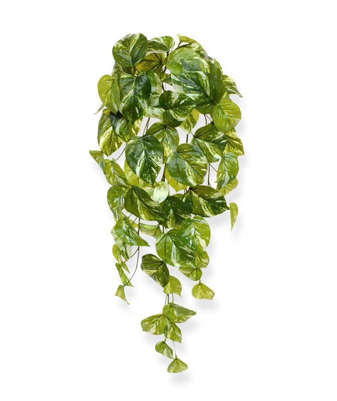 Pothos artificiale da appendere 60 cm