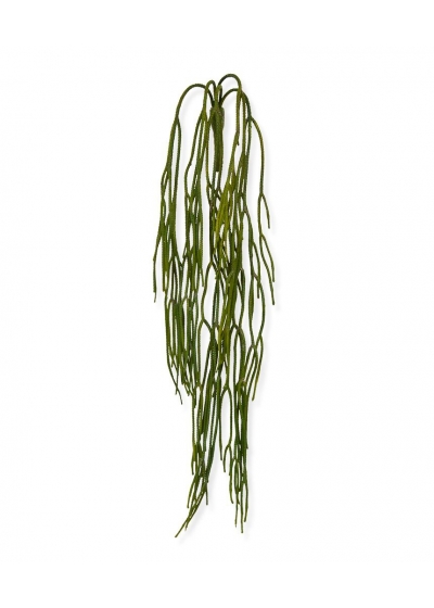 Ciondolo artificiale Rhipsalis Pilocarpa 65 cm