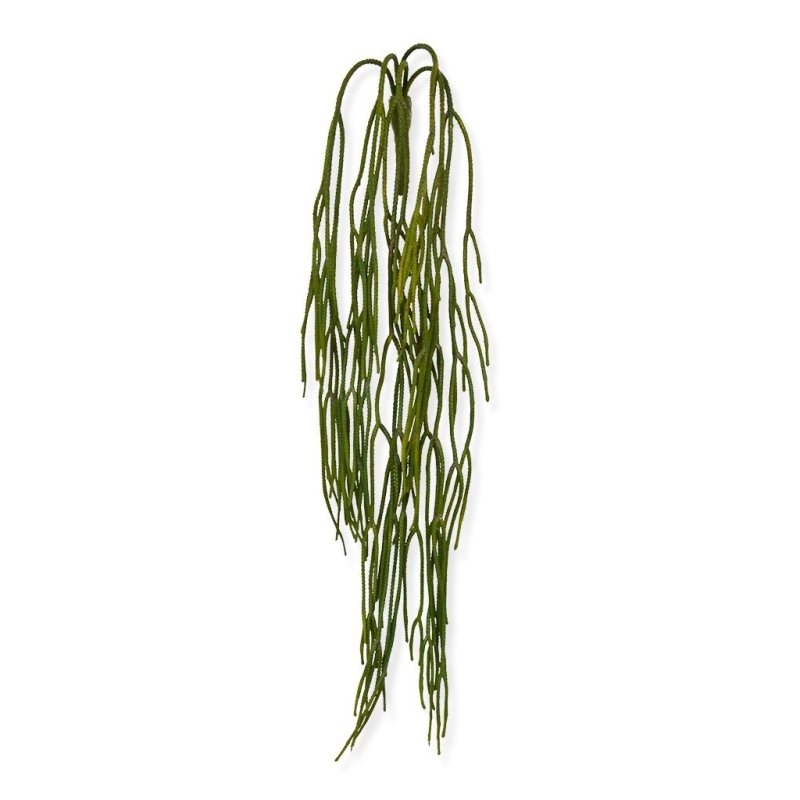 Ciondolo artificiale Rhipsalis Pilocarpa 65 cm